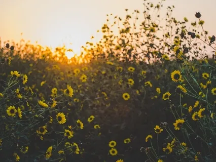 Protect Your Energy Meditation