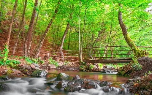 Protect Your Inner Child From Bullying