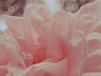 Protected While You Sleep | Guardian Angel Sleep Meditation