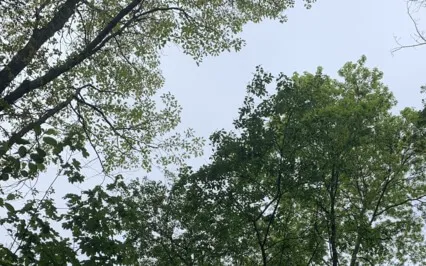 Protecting And Cleansing Your Energy