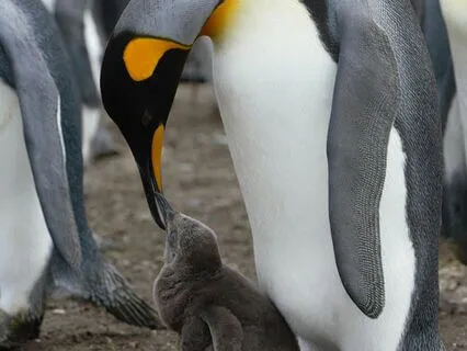 Protecting Your Boundaries To Increase Your Confidence