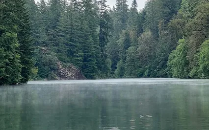 Protecting Your Energy