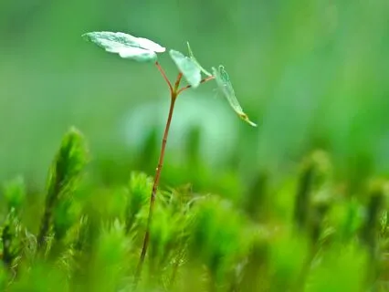 Protecting Your Most Vulnerable Spaces - Collective Reading