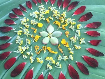 Protecting Your Peace Reflection