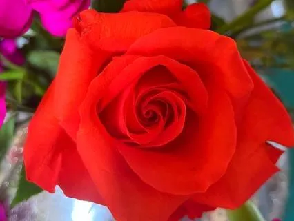 Protection - A Guided Affirmation