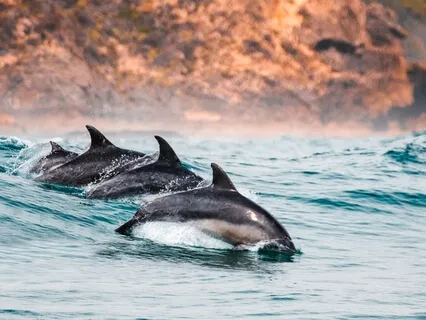 Protection: Creating Peace