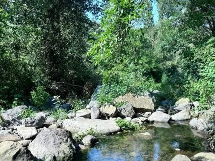 Protection & Inner Peace Guided Visualization