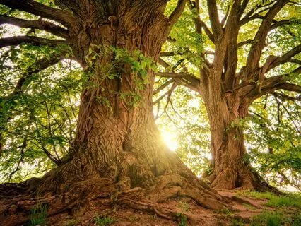 Protection Meditation