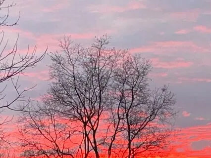 Protector Of My Heart - II