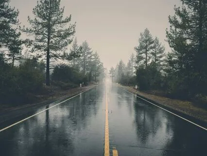 Proverbs 2 - Seek Wisdom