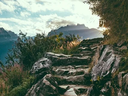 Provisions For The Path