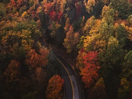 Проводы Осени