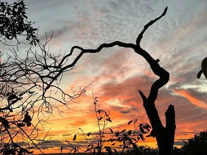 Prowadzona relaksacja ze skanowaniem ciała