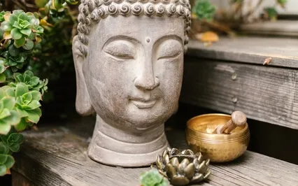 Proyección Macrocuántica