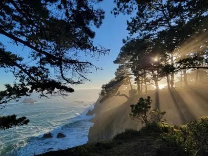Psalm 1: Christian Meditation, Finding Strength To Overcome