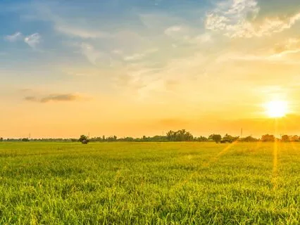 Psalm 102 - The Contemplative Bible Meditation Series