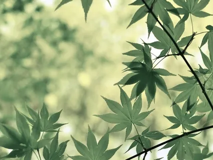 Psalm 103 - 2 Times In Hebrew