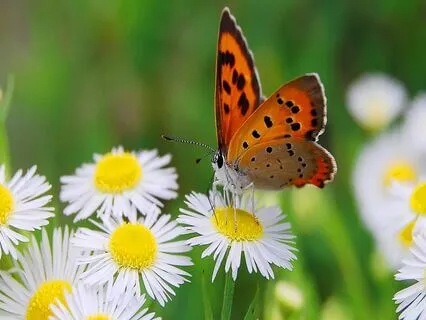 Psalm 103 Meditation For Healing Of Body, Soul, Spirit