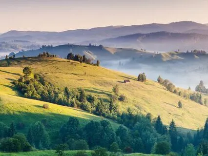 Psalm 105 - The Contemplative Bible Meditation Series