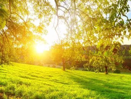 Psalm 106 - The Contemplative Bible Meditation Series