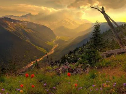 Psalm 109, Part 2: A Lectio Divina