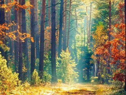 Psalm 109 - The Contemplative Bible Meditation Series