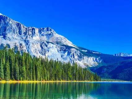 Psalm 111 - The Contemplative Bible Meditation Series