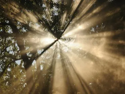 Psalm 112: A Lectio Divina