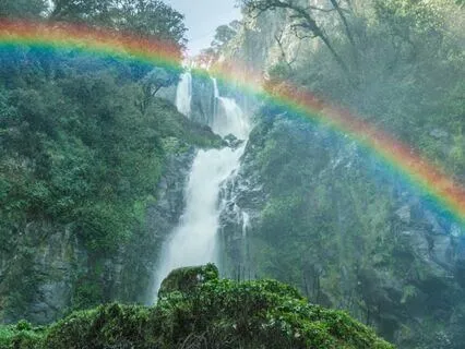 Psalm 112 - The Contemplative Bible Meditation Series