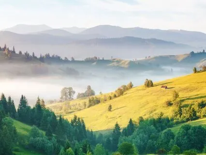 Psalm 113 - The Contemplative Bible Meditation Series