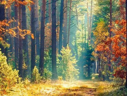 Psalm 114 - The Contemplative Bible Meditation Series