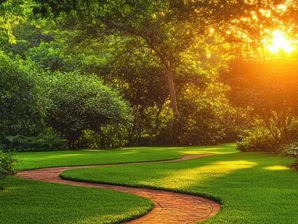 Psalm 116 - The Contemplative Bible Meditation Series