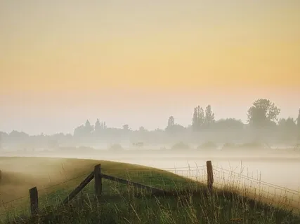 Psalm 12: A Lectio Divina