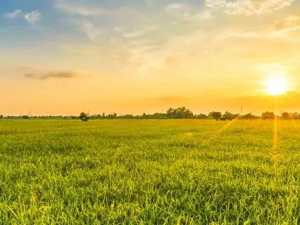 Psalm 123 — Lifting The Eyes Of The Soul