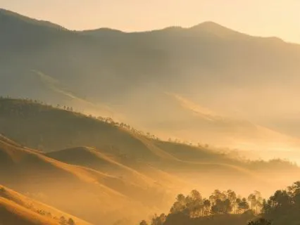 Psalm 133 — Dwelling In Sacred Unity