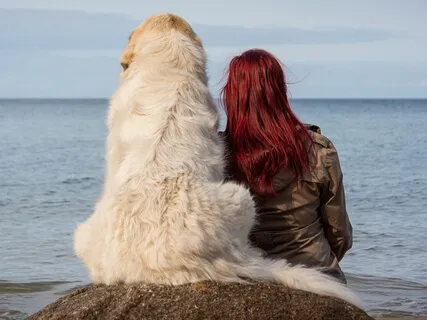 Psalm 17: A Lectio Divina