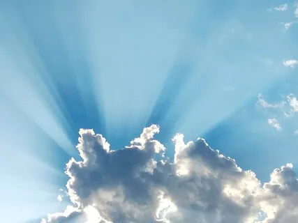 Psalm 22: A Lectio Divina