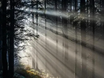 Psalm 23:4 Contemplative Prayer