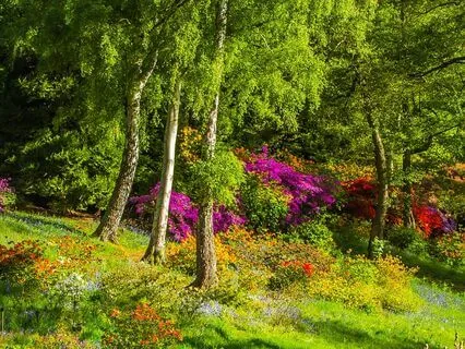 Psalm 23: Assurance Of Well Being