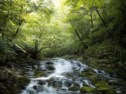 Psalm 23 – Divine Mother Mantra