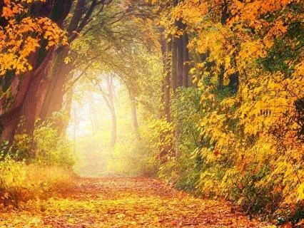 A Psalm Of Gentle Holding