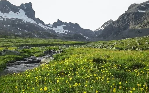 Psalm 23 Relaxation Meditation