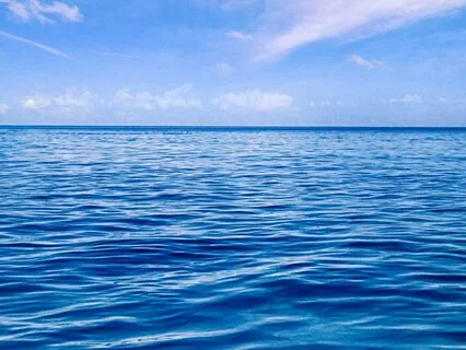 Psalm 23 The Lord Is My Shepard