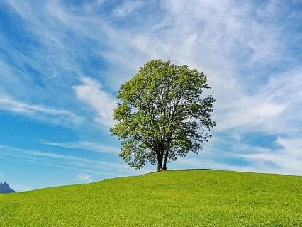 A Psalm Of Holy Breath