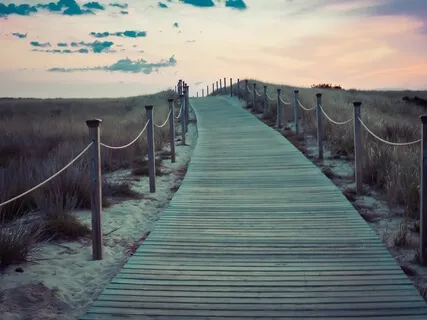 Psalm 25: A Lectio Divina