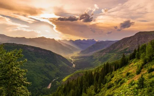 Psalm 28:7 NIV: Strength, Shield, Trust, Joy