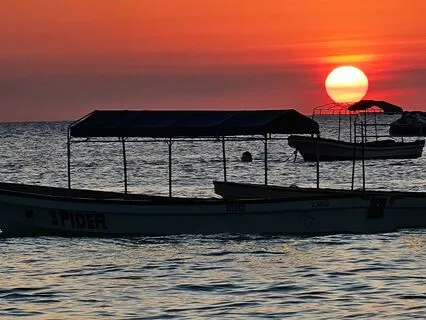 Psalm 28 - The Contemplative Bible Meditation Series