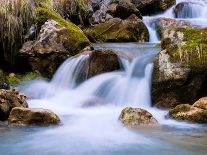 Psalm 29: A Lectio Divina