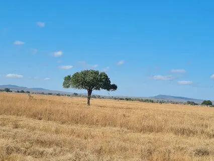 Psalm 29 - The Contemplative Bible Meditation Series