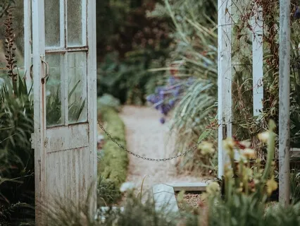 Psalm 30: A Lectio Divina